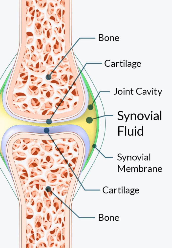 joint lubrication